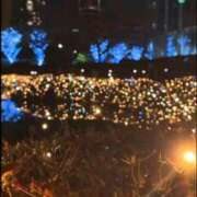 ヒメ日記 2025/11/22 20:05 投稿 あんじゅ 渋谷蘭の会