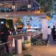 ヒメ日記 2025/11/22 20:46 投稿 あんじゅ 渋谷蘭の会