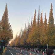 ヒメ日記 2025/11/30 19:25 投稿 あんじゅ 渋谷蘭の会