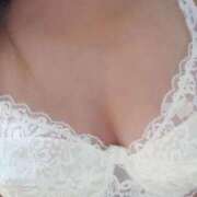 ヒメ日記 2025/12/25 17:05 投稿 あんじゅ 渋谷蘭の会