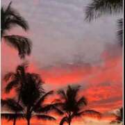 ヒメ日記 2026/03/12 17:15 投稿 あんじゅ 渋谷蘭の会