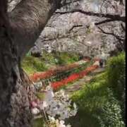 あんじゅ こんばんは✨ 渋谷蘭の会