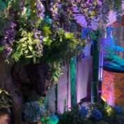 ヒメ日記 2026/02/09 07:13 投稿 みる すごいエステ京都店