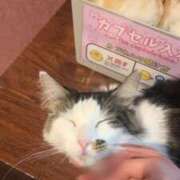 ヒメ日記 2026/02/22 12:23 投稿 みる すごいエステ京都店