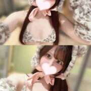 ヒメ日記 2026/02/28 07:30 投稿 シュリ MEGA PALACE(メガパレス）