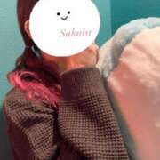 ヒメ日記 2025/04/01 23:49 投稿 さくら [優良人妻店]セレブスタイル（山口～防府～萩）