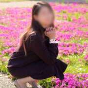 ヒメ日記 2025/04/22 14:38 投稿 さくら [優良人妻店]セレブスタイル（山口～防府～萩）