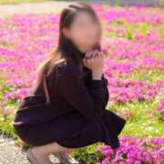 ヒメ日記 2025/09/15 13:28 投稿 さくら [優良人妻店]セレブスタイル（山口～防府～萩）