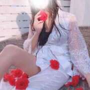 ヒメ日記 2025/11/04 22:27 投稿 本気で尽くしたがる...異常です GOOD-グッド-