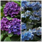 ヒメ日記 2025/06/16 11:09 投稿 新名美緒 プレジデントハウス