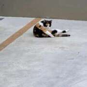 ヒメ日記 2025/06/27 10:38 投稿 新名美緒 プレジデントハウス