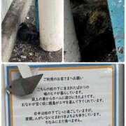 ヒメ日記 2025/08/02 08:02 投稿 新名美緒 プレジデントハウス