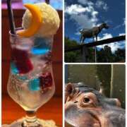 ヒメ日記 2025/08/11 15:45 投稿 新名美緒 プレジデントハウス