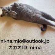 ヒメ日記 2025/09/16 10:04 投稿 新名美緒 プレジデントハウス