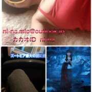 ヒメ日記 2025/09/19 13:01 投稿 新名美緒 プレジデントハウス