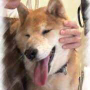 ヒメ日記 2025/09/29 00:34 投稿 新名美緒 プレジデントハウス