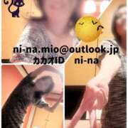 ヒメ日記 2025/10/10 20:01 投稿 新名美緒 プレジデントハウス