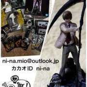 ヒメ日記 2025/11/29 16:20 投稿 新名美緒 プレジデントハウス