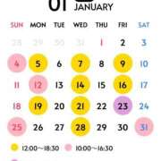 ヒメ日記 2025/12/27 20:30 投稿 新名美緒 プレジデントハウス