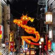 ヒメ日記 2026/02/09 20:00 投稿 新名美緒 プレジデントハウス