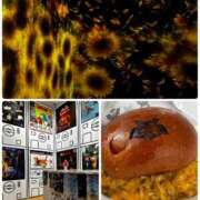 ヒメ日記 2026/02/27 20:02 投稿 新名美緒 プレジデントハウス