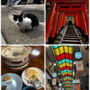 ヒメ日記 2026/03/13 23:46 投稿 新名美緒 プレジデントハウス