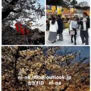 ヒメ日記 2026/03/29 20:01 投稿 新名美緒 プレジデントハウス