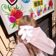 ヒメ日記 2025/04/11 10:20 投稿 めい チューリップ姫路店