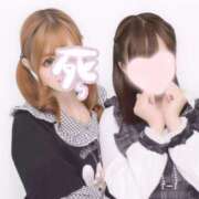 ヒメ日記 2025/04/11 23:10 投稿 めい チューリップ姫路店