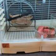 ヒメ日記 2025/04/19 12:51 投稿 さゆり マダムバンク 富山本店