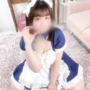 ヒメ日記 2026/03/18 16:17 投稿 ニイナ(奥方) 奥様幕府