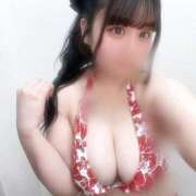 ヒメ日記 2026/03/18 18:07 投稿 ニイナ(奥方) 奥様幕府