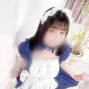 ヒメ日記 2026/03/18 20:40 投稿 ニイナ(奥方) 奥様幕府