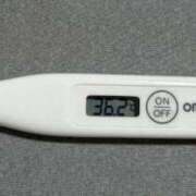 ヒメ日記 2026/03/20 11:37 投稿 ニイナ(奥方) 奥様幕府