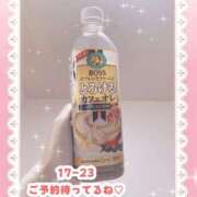 ヒメ日記 2025/05/23 14:02 投稿 キュアウサミン Cawaiiハイ！スクールリターンズ