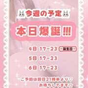 ヒメ日記 2025/09/04 02:01 投稿 キュアウサミン Cawaiiハイ！スクールリターンズ