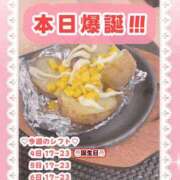 ヒメ日記 2025/09/04 13:39 投稿 キュアウサミン Cawaiiハイ！スクールリターンズ