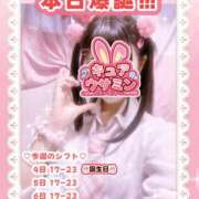 ヒメ日記 2025/09/04 16:45 投稿 キュアウサミン Cawaiiハイ！スクールリターンズ