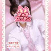 ヒメ日記 2025/11/08 17:45 投稿 キュアウサミン Cawaiiハイ！スクールリターンズ