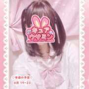 キュアウサミン しゅっきん！ Cawaiiハイ！スクールリターンズ