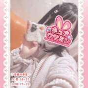 キュアウサミン 🐰しゅっきん🐰 Cawaiiハイ！スクールリターンズ