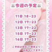 ヒメ日記 2026/08/11 14:45 投稿 キュアウサミン Cawaiiハイ！スクールリターンズ