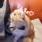 ヒメ日記 2026/02/22 15:28 投稿 メアリー Cawaiiハイ！スクールリターンズ