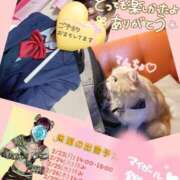 ヒメ日記 2026/02/22 18:35 投稿 メアリー Cawaiiハイ！スクールリターンズ