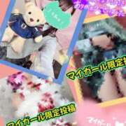 ヒメ日記 2026/05/15 17:30 投稿 メアリー Cawaiiハイ！スクールリターンズ