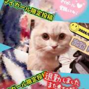 メアリー 退勤だよん Cawaiiハイ！スクールリターンズ