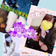 ヒメ日記 2026/08/16 17:30 投稿 メアリー Cawaiiハイ！スクールリターンズ
