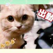ヒメ日記 2026/08/17 13:45 投稿 メアリー Cawaiiハイ！スクールリターンズ
