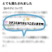 ヒメ日記 2025/05/25 14:42 投稿 ミモザ キャンディ(鹿児島)