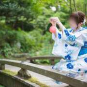 ヒメ日記 2025/06/07 12:12 投稿 ミモザ キャンディ(鹿児島)